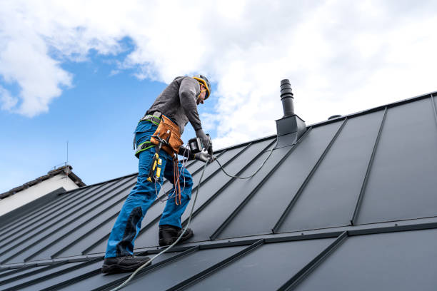 Best Gutter Installation and Repair  in Chigan Center, MI